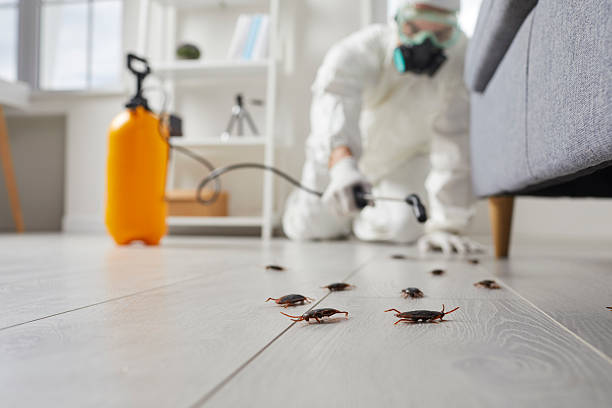 Post-Treatment Bed Bug Interceptor Monitoring in Bowman
