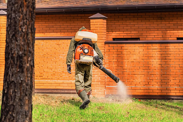Bed Bug Clearance Verification and Documentation in Bowman
